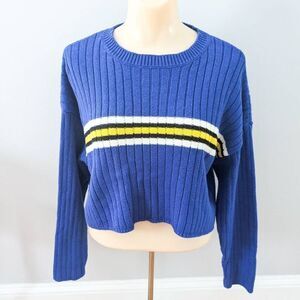 Forever 21 Blue Striped Varsity Sweater